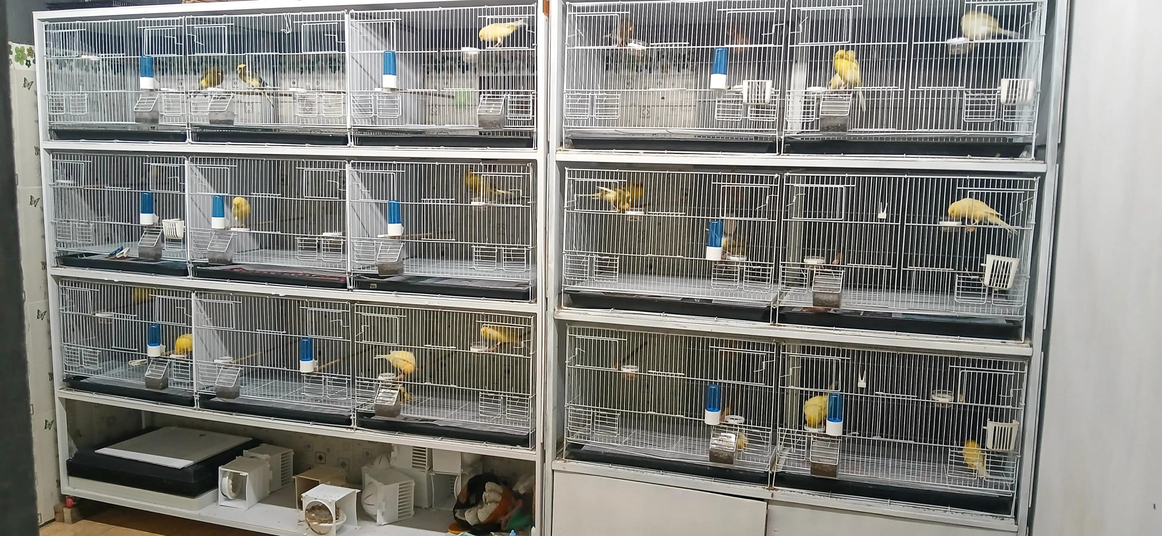 Jenis Kandang ternak